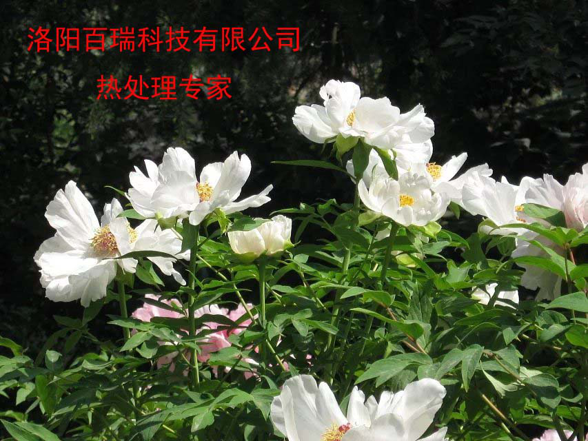 1587021192891992.png 图片3.png