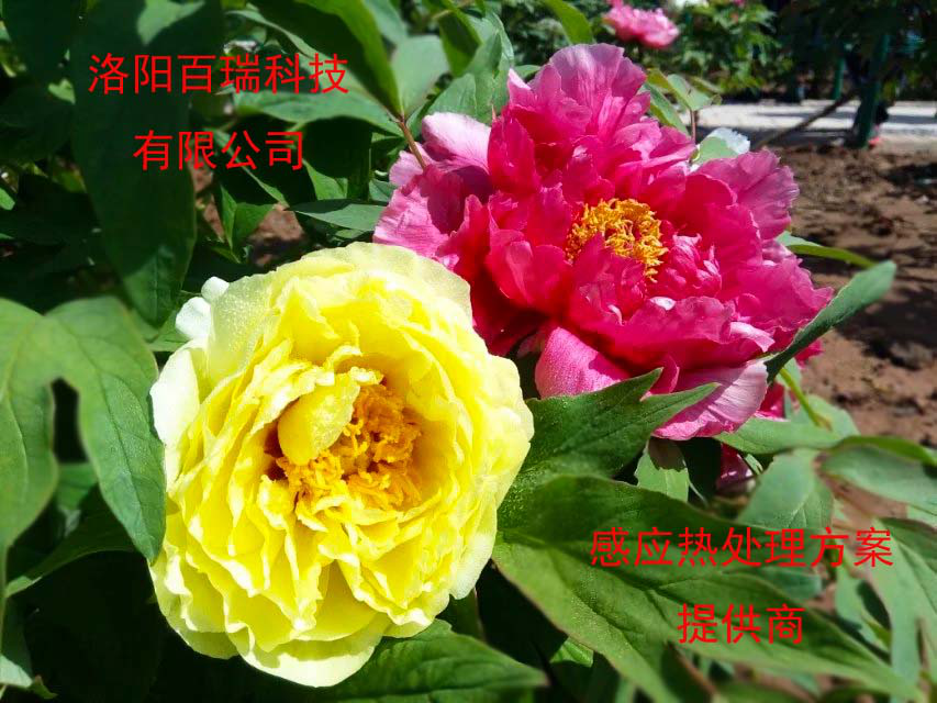 1587021414786448.png 图片13.png